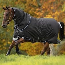 Horseware Amigo Bravo