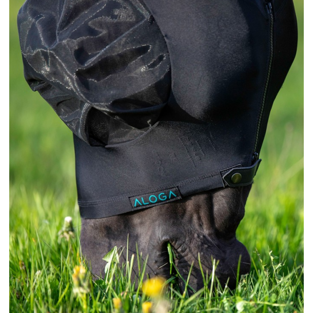 Aloga Fly mask
