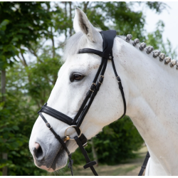 Antar�s Precision Comfort Flash Noseband trense