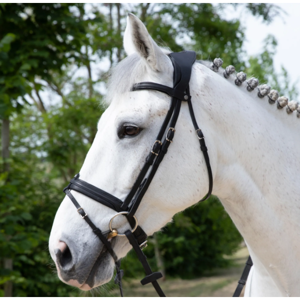 Antar�s Precision Comfort Flash Noseband trense