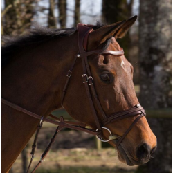 Antar�s Precision Comfort Flash Noseband trense