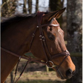 Antar�s Precision Comfort Flash Noseband trense