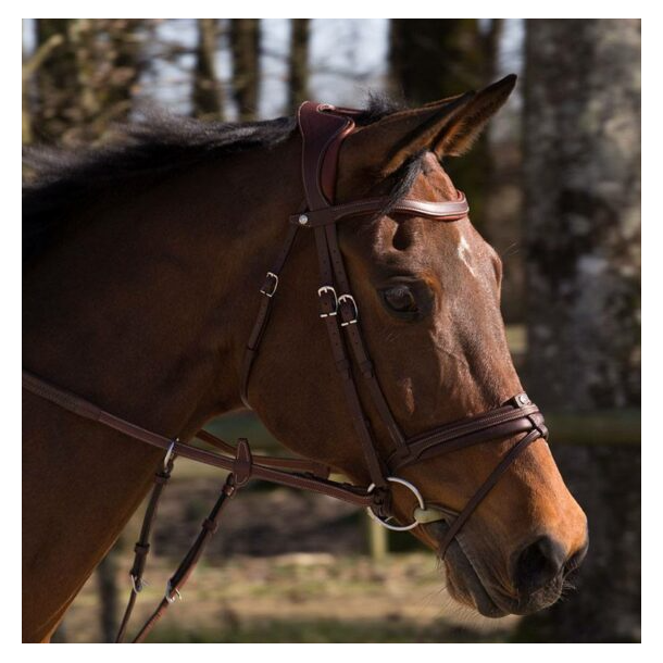 Antar�s Precision Comfort Flash Noseband trense