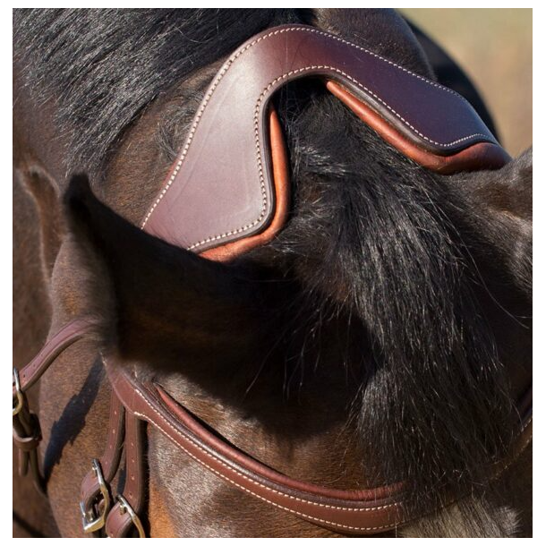 Antar�s Precision Comfort Flash Noseband trense