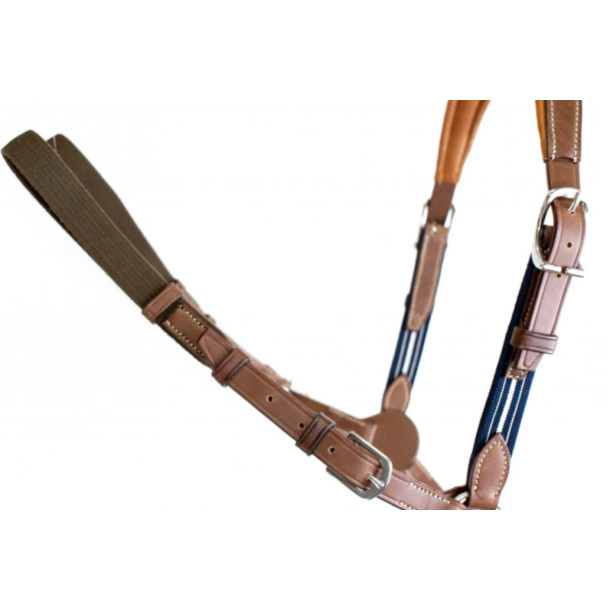 Antar�s Precision breastplate fort�j