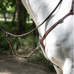 Antar�s Precision breastplate fort�j