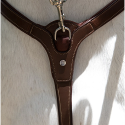 Antar�s Precision breastplate fort�j