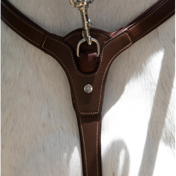 Antar�s Precision breastplate fort�j