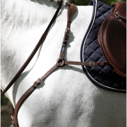 Antar�s Precision breastplate fort�j