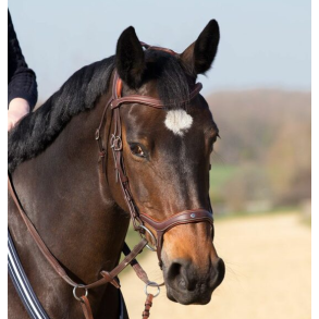 Antar�s Precision Y Bridle
