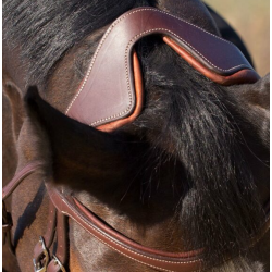 Antar�s Precision Y Bridle