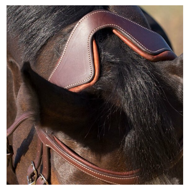 Antar�s Precision Y Bridle