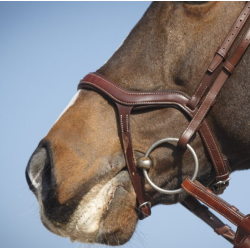 Antar�s Precision Y Bridle