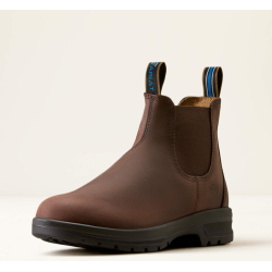 Ariat Cooper Chelsea st�vle