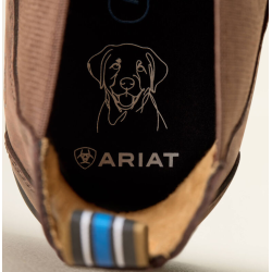 Ariat Cooper Chelsea st�vle