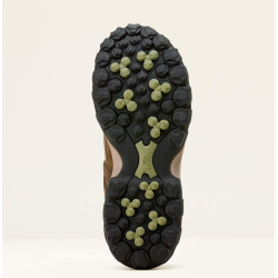 Ariat Traverse Low H20 dame