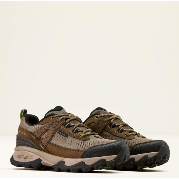Ariat Traverse Low H20 dame