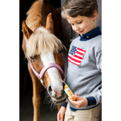 Candy Horse cookie sticks  