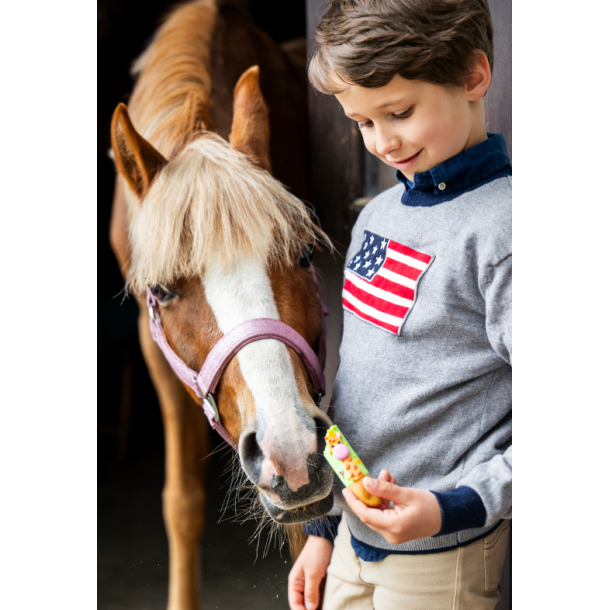 Candy Horse cookie sticks  