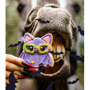 Candy Horse Halloween Flagermus hestekiks