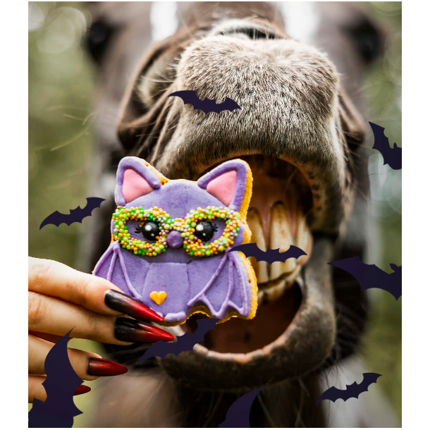 Candy Horse Halloween Flagermus hestekiks