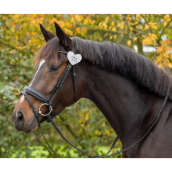 QHP hjerteformet st�vnenummer m glitter