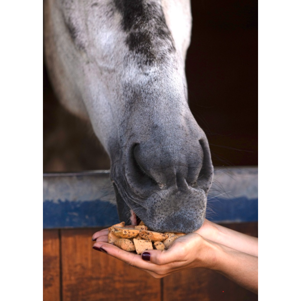 Candy Horse Hooves hestegodbidder m �ble mynte (1200 ml)