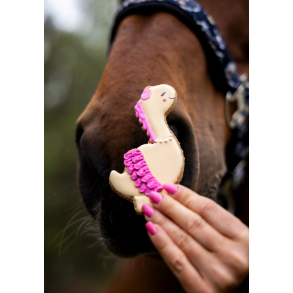 Candy Horse iced  Dino hestekiks