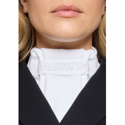 Samshield Plastron Premium Holo SS26