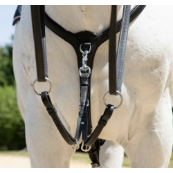 Antar�s Origin Running Martingale fork 