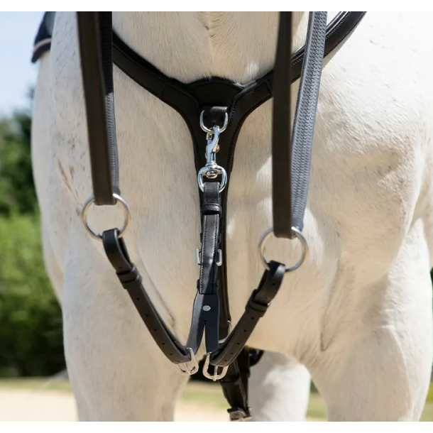 Antar�s Origin Running Martingale fork 