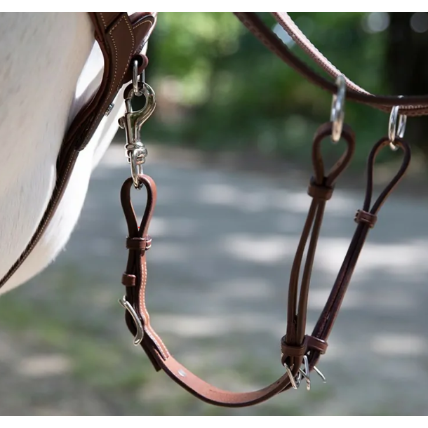 Antar�s Origin Running Martingale fork 