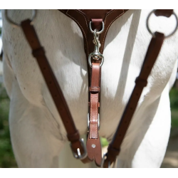 Antar�s Origin Running Martingale fork 