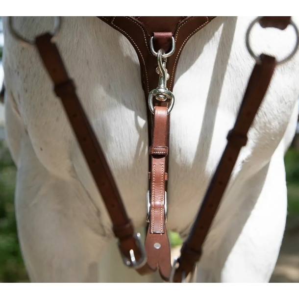 Antar�s Origin Running Martingale fork 