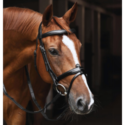 Antar�s Signature Flash noseband trense