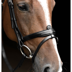 Antar�s Signature Flash noseband trense