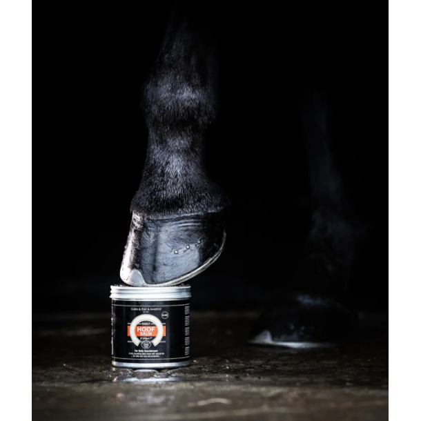 Carr &amp; Day &amp; Martin Hoof Balm (500ml)