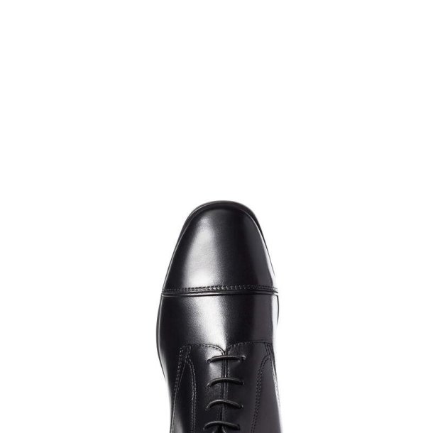 Ariat Palisade Ridest�vle