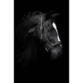 Kallquist Lippo Basic Grooming L�dergrime