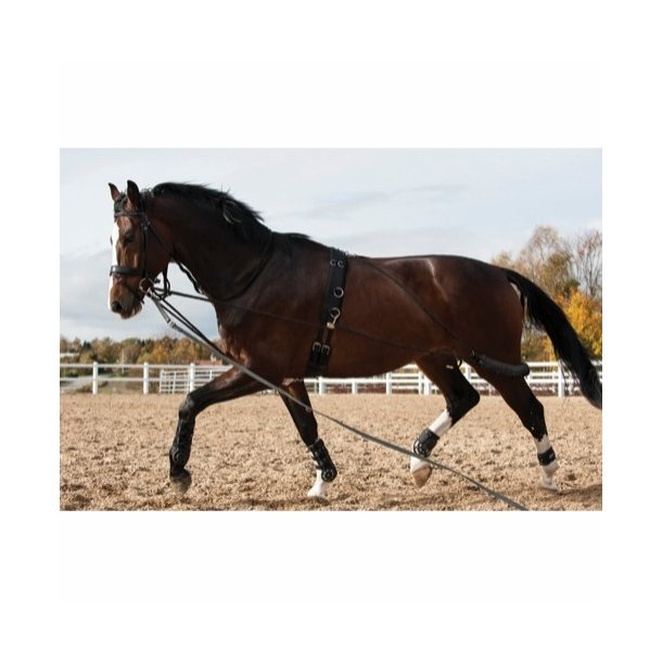 Horse Guard Longeringssystem (pessoa)