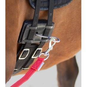 Waldhausen Equibender til longering