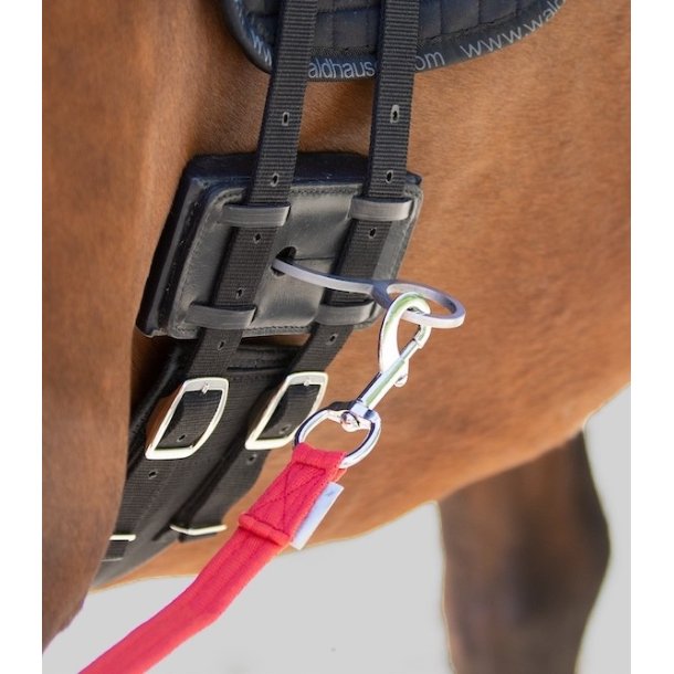 Waldhausen Equibender til longering