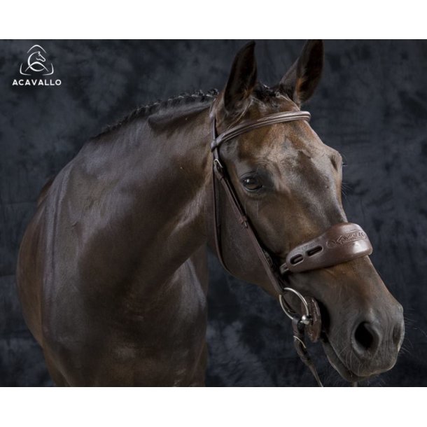 Acavallo Gel Nose & Poll Guard - nakkebeskyttelse