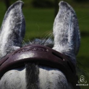 Acavallo Gel Nose & Poll Guard - nakkebeskyttelse