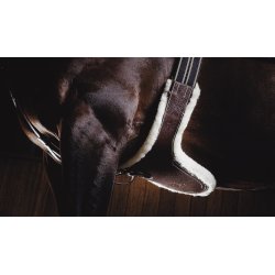 AEquipment Pladegjord med Lam