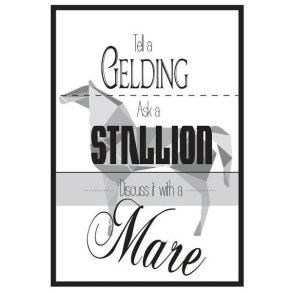 QHP Metalskilt med teksten 'Tell a Gelding, Ask a Stallion, Discuss it with a Mare'