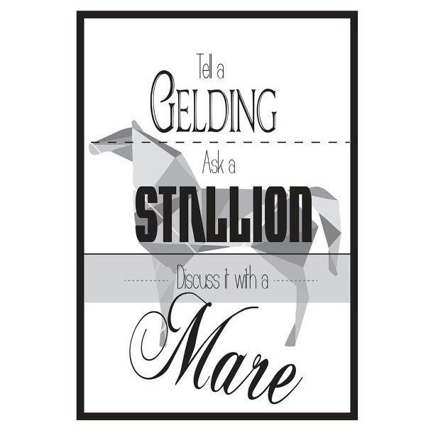 QHP Metalskilt med teksten 'Tell a Gelding, Ask a Stallion, Discuss it with a Mare'