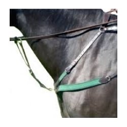 Amerigo Fort�j  med Martingale