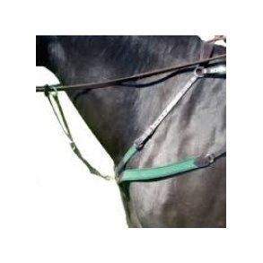 Amerigo Fort�j  med Martingale