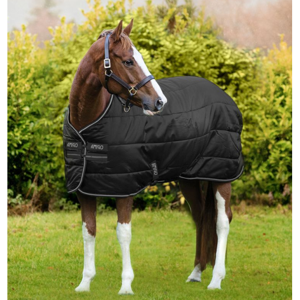 Amigo Diamond Insulator 100 gr